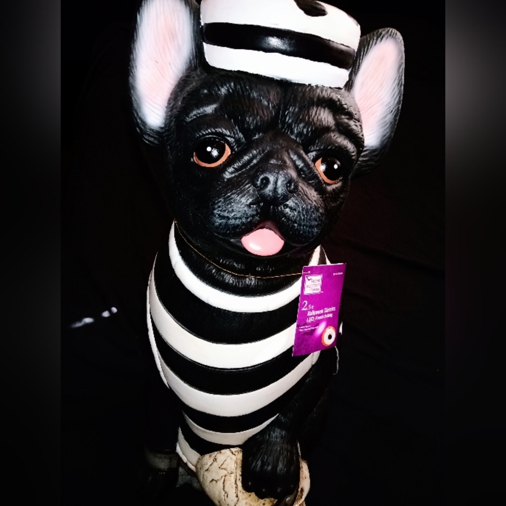 2.5 FT French Bulldog Halloween Dog Prisoner W Skull LED 2025 BRAND NEW